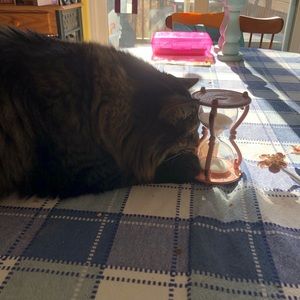 Meet your Posher, Mikala